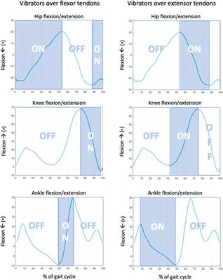 Proprioceptive Stimulation Added to a Walking Self-Avatar Enhances the Illusory Perception of Walking in Static Participants